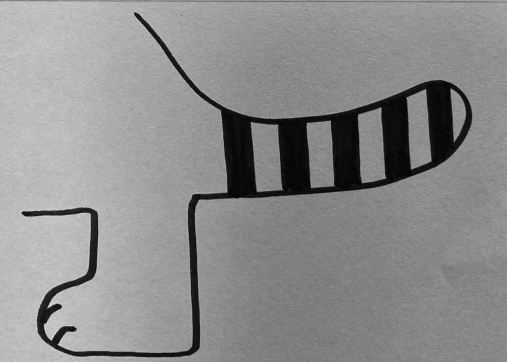 いっぴきのしましましっぽの画像